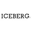 Iceberg