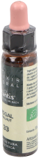 Walnut Plantis Nº 33 10 ml
