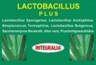 Lactobacillus Plus 60 Cápsulas