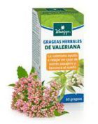 Valeriana Kneipp 60