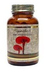 Meganoderma Reishi 660Mg. 300 Cap.