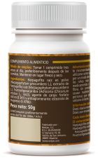 Harpagophyto 500 mg 100 Comprimidos