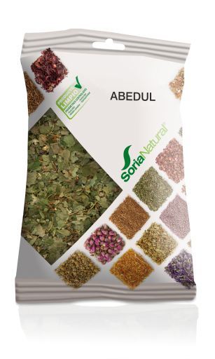 Abedul en planta 40 gr