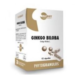 Ginkgo Biloba 45 Cápsulas