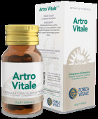 Artro Vitale Comprimidos 25 gr