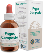 Fagus Composto Extracto 50 ml