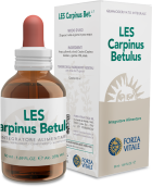 Les Carpinus Betullus Carpino 50 ml