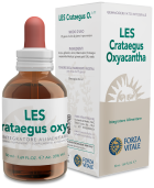 Les Crataegus Oxycanta Espino Albar 50 ml