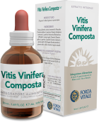 Vitis Vinifera Compound Extract 50 ml