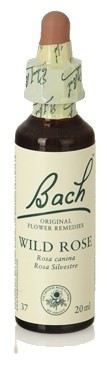 Bach 20 Rosa Silvestre o Escaramujo 20 ml