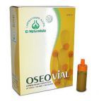 Oseovial