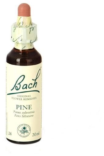 Bach 24 Pino 20 ml