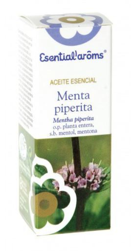 Esencia Menta Piperita