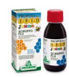 Epid Junior Flu Jarabe 100 Ml- Specchiasol