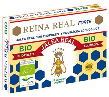 Reina Real Forte