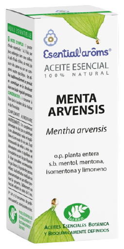 Esencia Menta Arvensis 10Ml