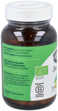 Jengibre 90 cápsulas Bio 500 ml