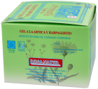 P-21 Gel Arnica 200 ml