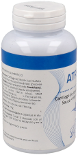 Artrion Forte 100 Cap.