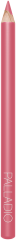 Perfilador de Labios 294 Pink Frost