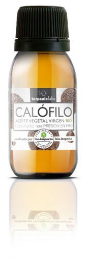 Aceite Vegetal de Calófilo