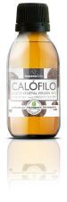 Aceite Vegetal de Calófilo