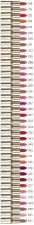 Color Riche Barra Labial