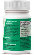 Salvia 500 mg 100 Comprimidos