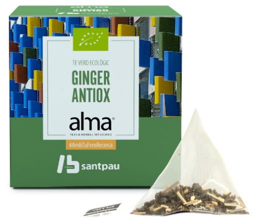 Home Green Tea Ginger 15 Bolsitas