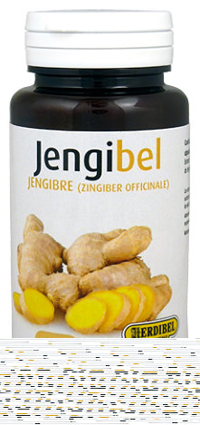 Jengibel 100 Capsulas