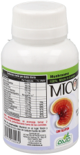 Micotherapy Bm 60 Cápsulas