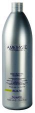 Amethyste Regulate Champú Sebo Control