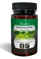 Capsudiet Ginkgo Biloba 40 cápsulas