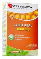 Jalea Real 1000 gr 20 ampollas x 10 ml