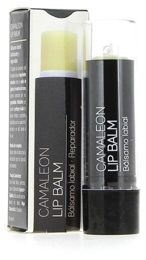 Lip Balm Bálsamo Labial