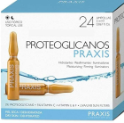 Ampolla Proteoglicanos 24 x 2 ml