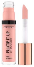 Plump It Up Booster Labial 3,5 ml