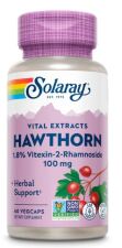 Hawthorn Extract 100 mg 60 Cápsulas