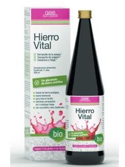 Hierro Vital 330 ml