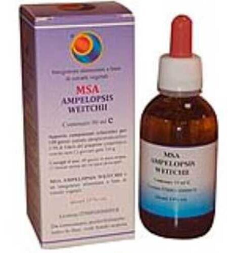 Msa Ampelopsis Weitchii Jovenes Brotes 50 ml