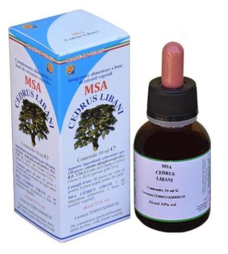 Msa Cedrus Libani Yemas 50 ml