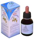 Msa Vitis Vinifera Brotes Jovenes 50 ml