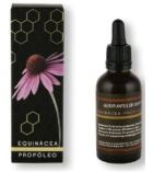 Extracto Echinacea-Propolis 50 ml