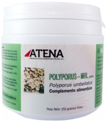 Polyporus-Mrl en Polvo 250 gr