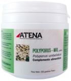 Polyporus-Mrl en Polvo 250 gr