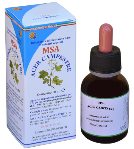 Msa Acer Campestre Yemas 50 ml