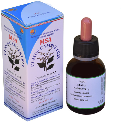 Msa Ulmus Campestris Yemas Olmo 50 ml