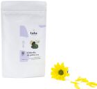 Chlorella En Polvo Eco 100 gr